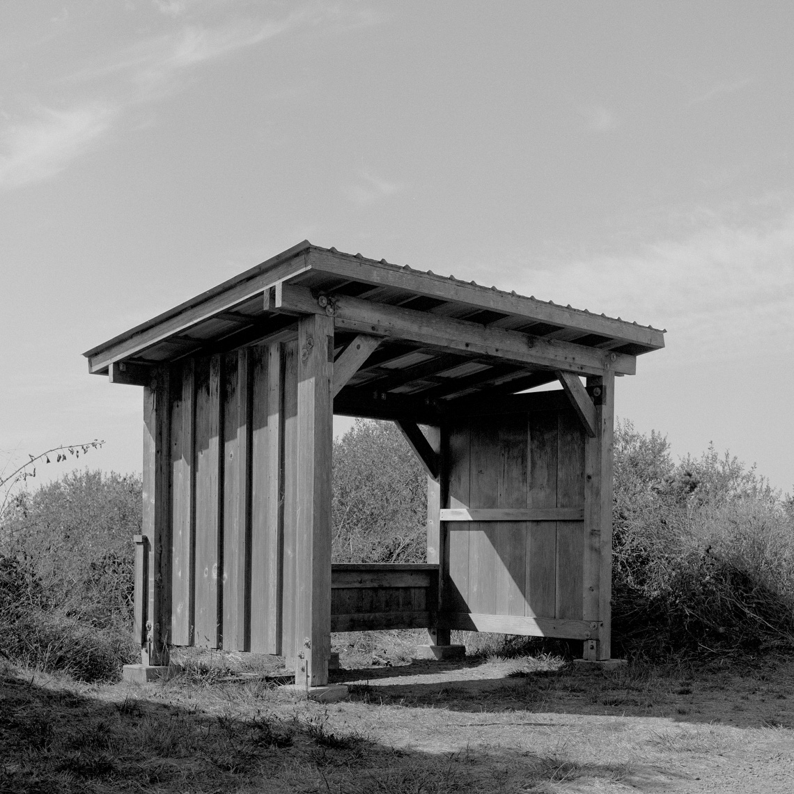 BirdBlinds_website_spinski_15