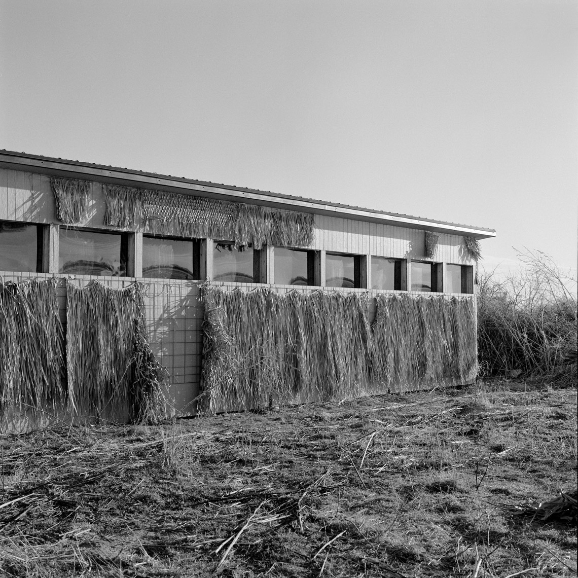 BirdBlinds_website_spinski_26
