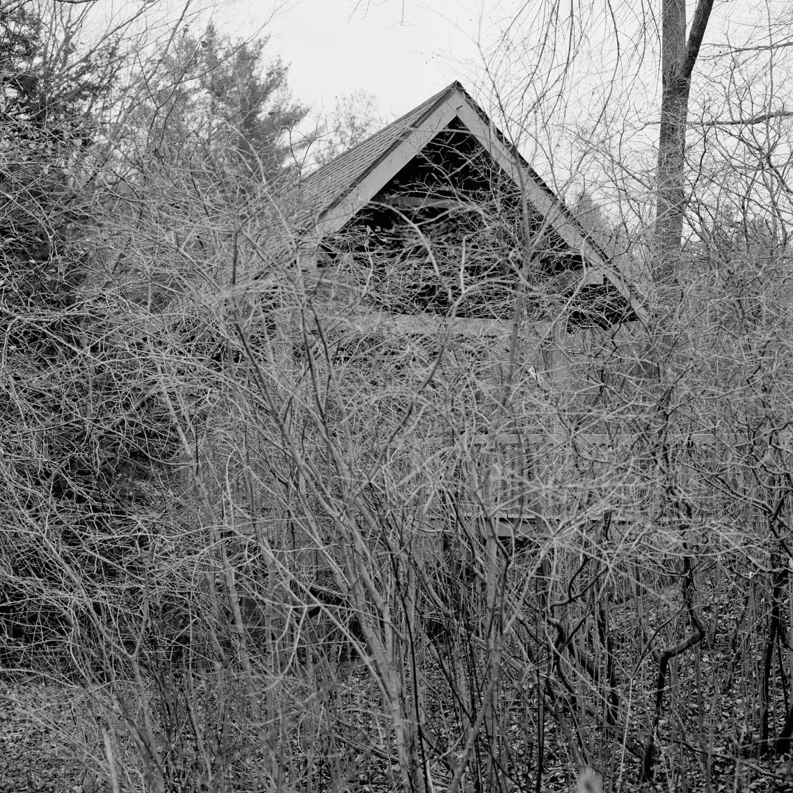 BirdBlinds_website_spinski_36