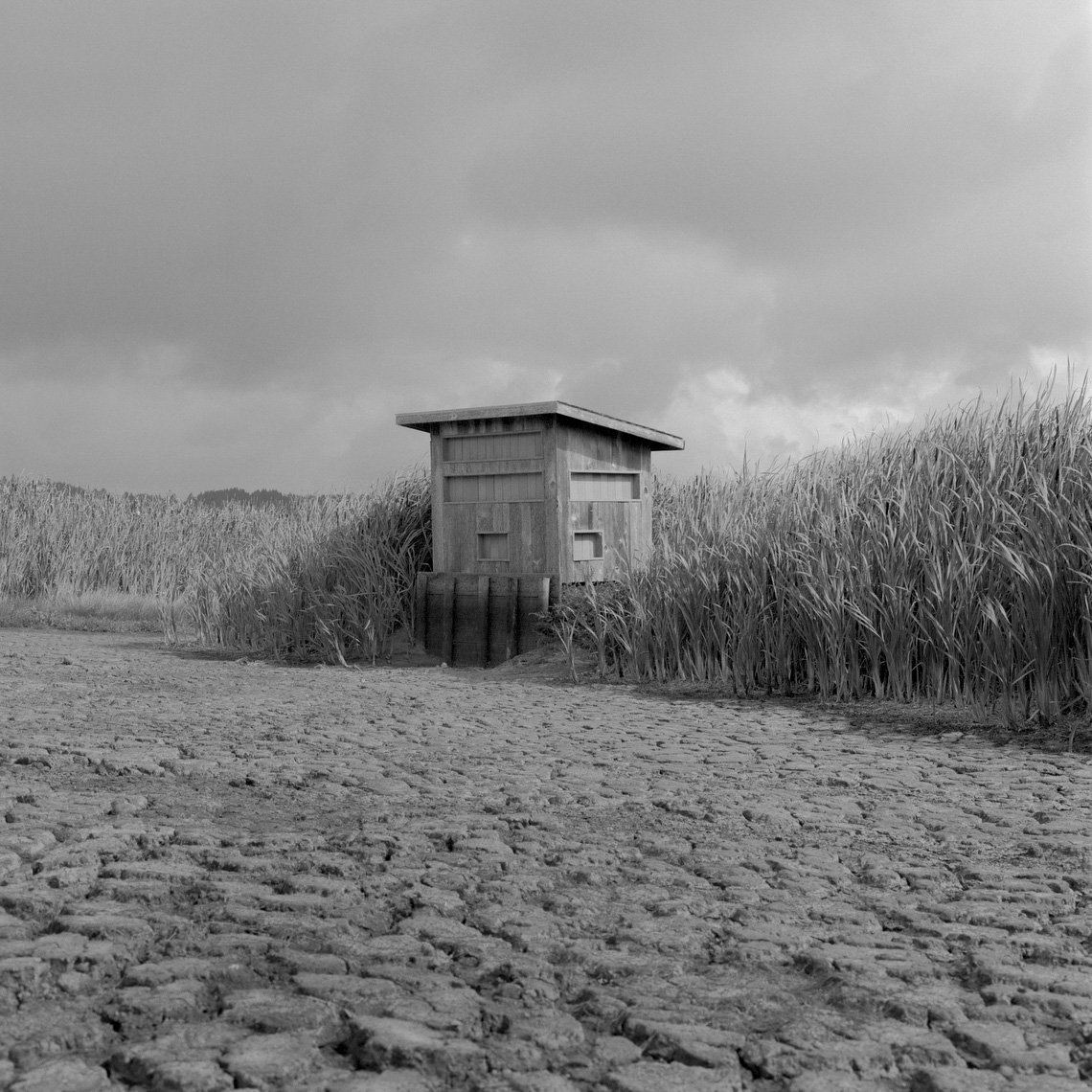 BirdBlinds_website_spinski_42