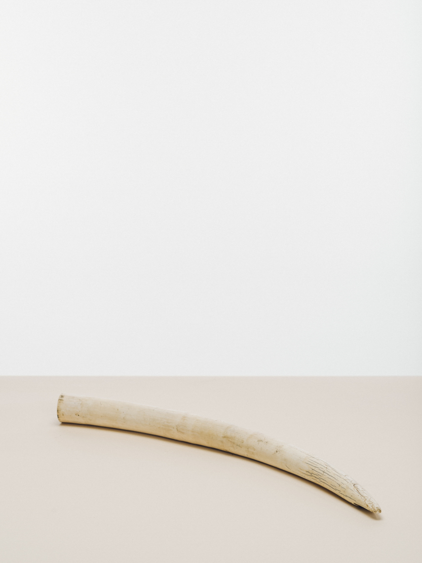 contraband_website_09